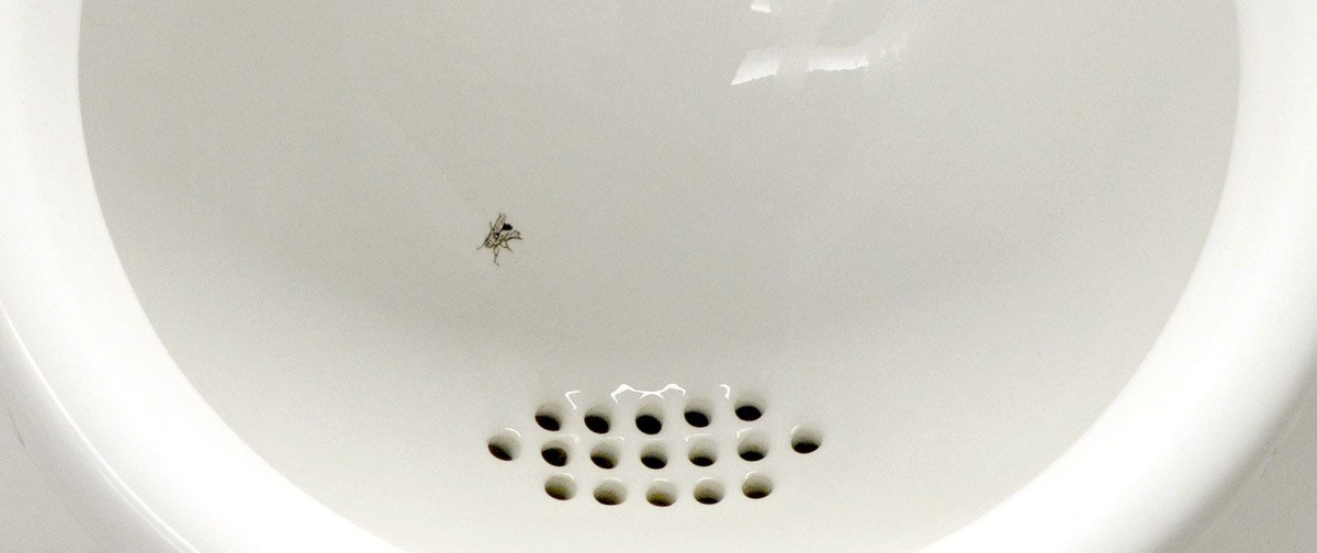 Image of fly painted on men's urinal